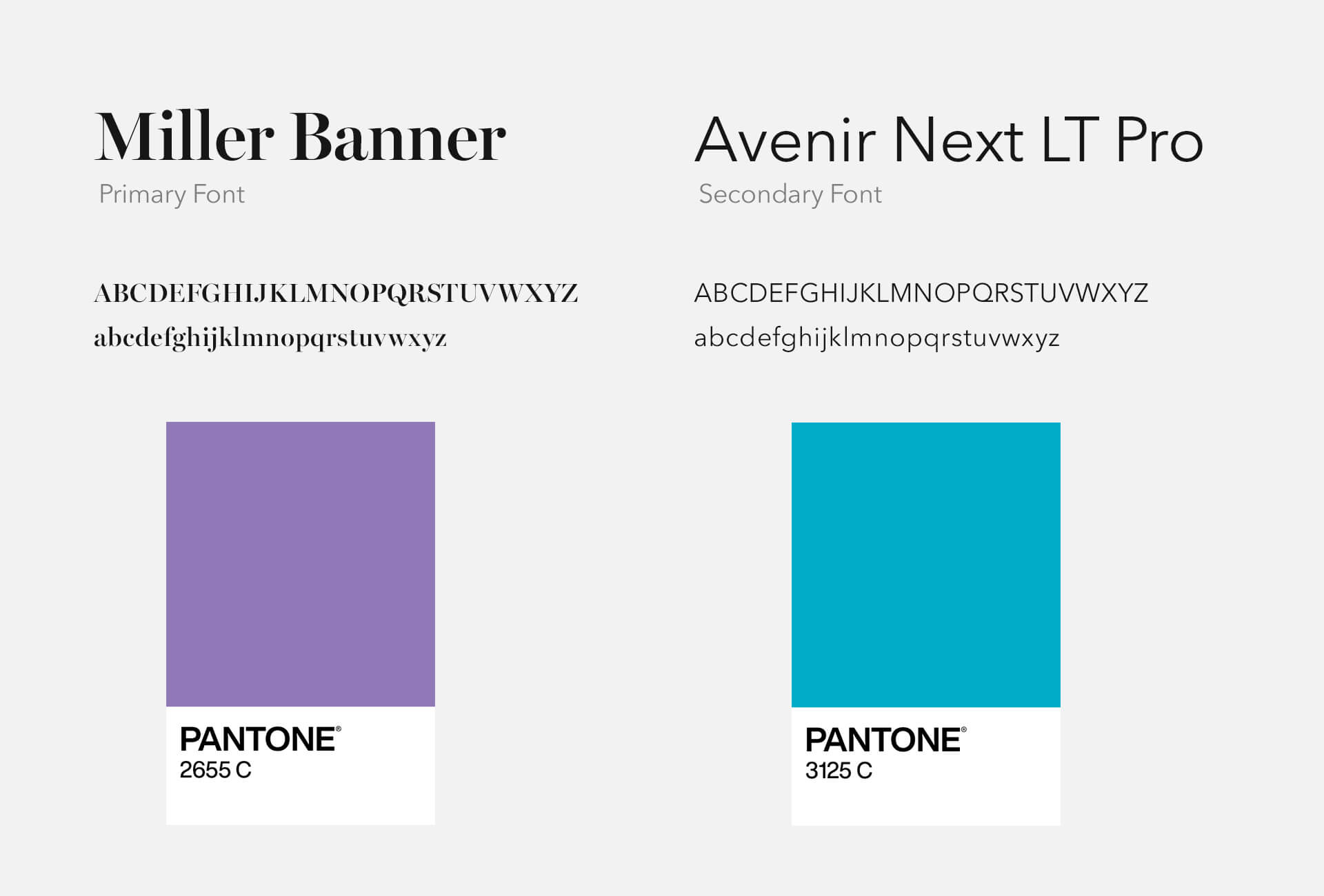 Life Source fonts and brand colors