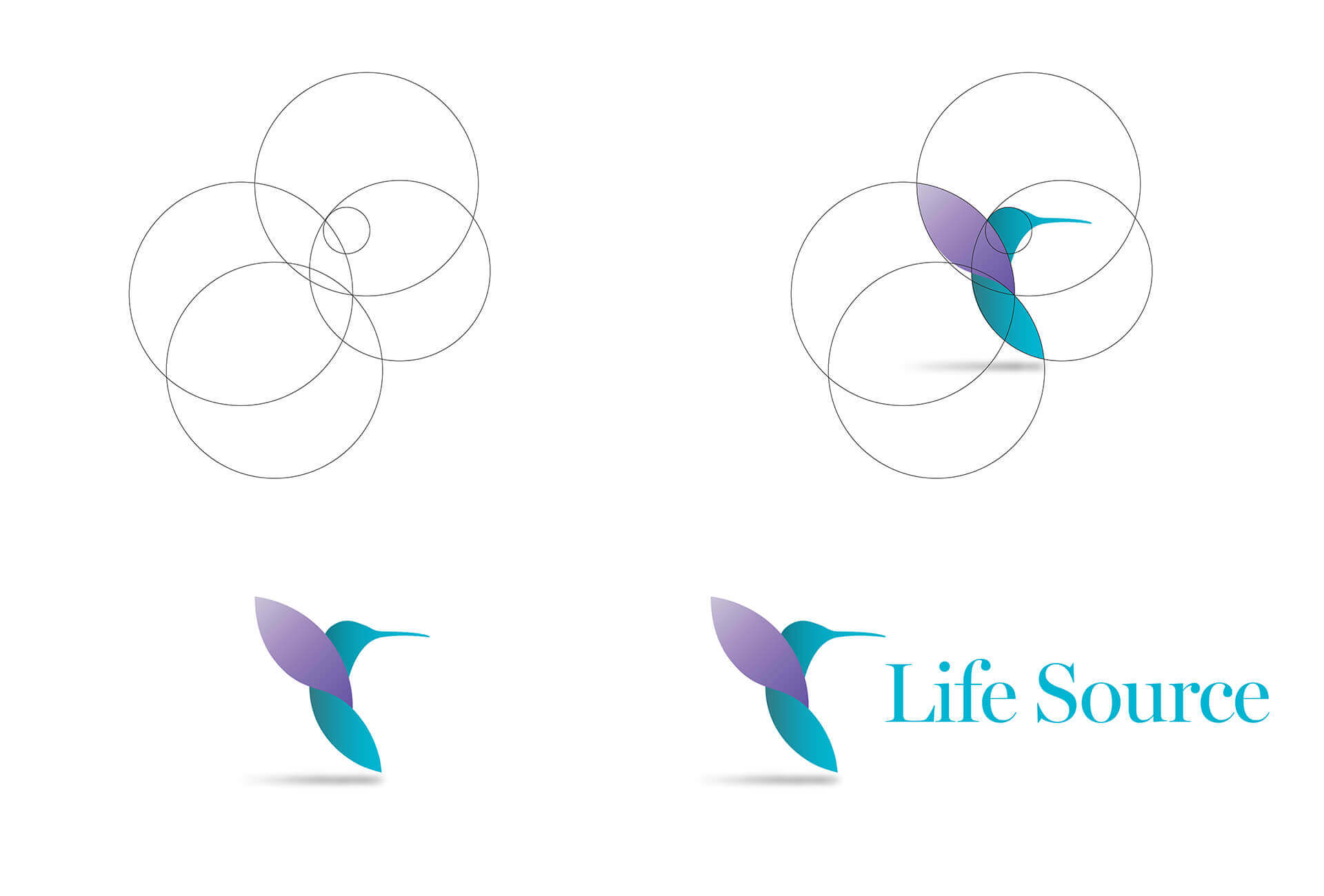 Life Source Consultants logo